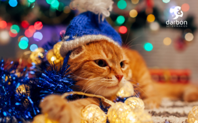 10 consejos para tener una navidad segura con tu mascota