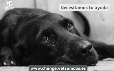 Necesitamos tu ayuda. ¿Qué está pasando con PRESVET?